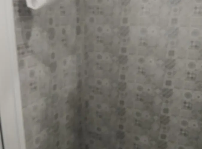 мария луиза